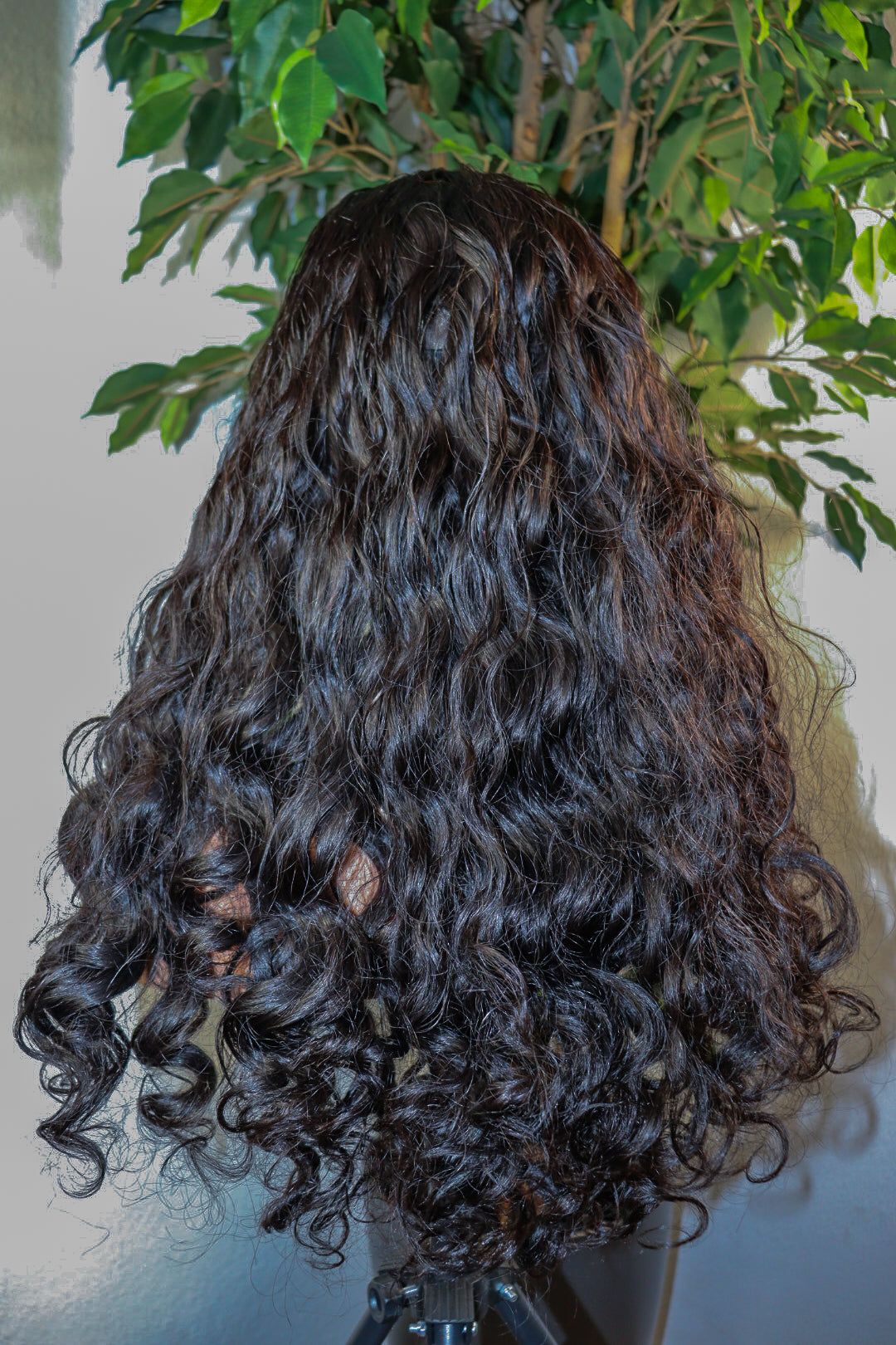 SDD Vietnamese Natral Wave (5x5)